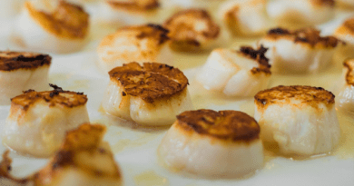tasty-cooked-scallops
