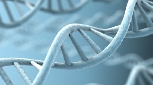 Miracle! A genetic predisposition test for ADHD