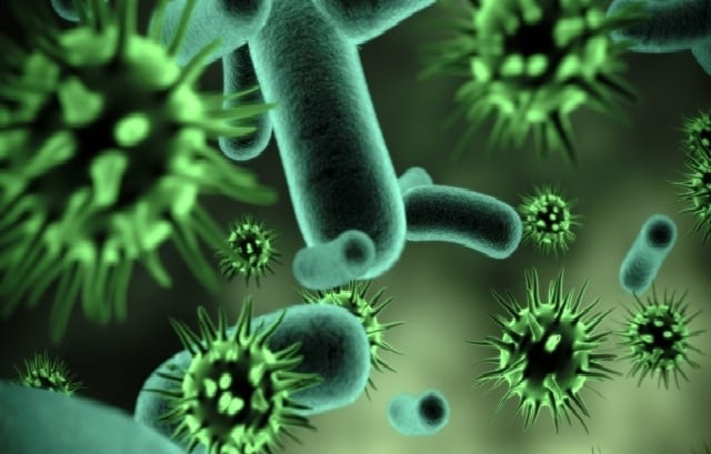 Don’t panic about the microbes around you!
