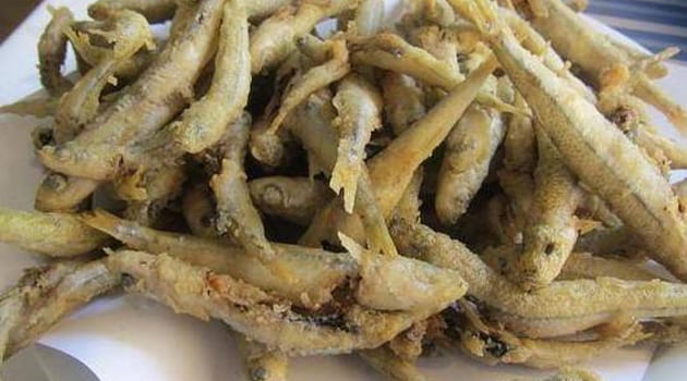 atherina