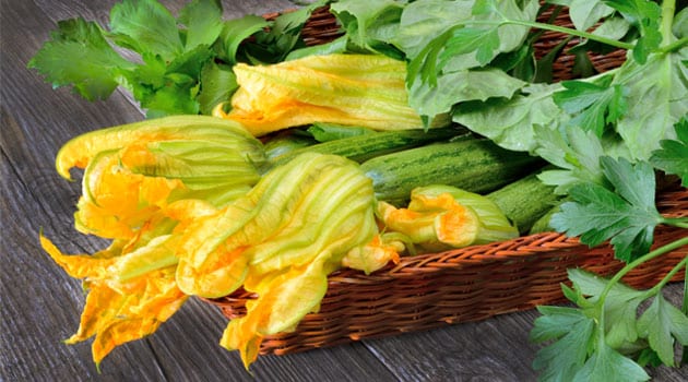 zucchini-flowers